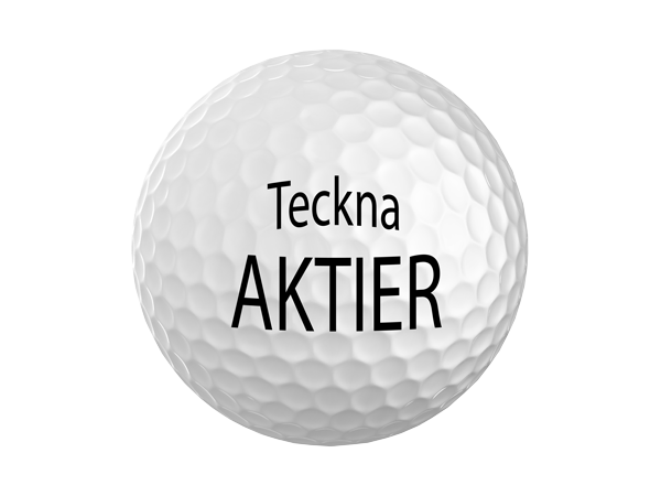 Aktiebild